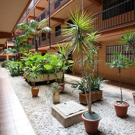 3 Apartment *